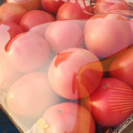 灵璧县水果西红柿