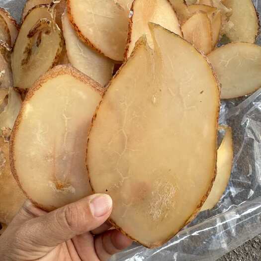 北海响螺片 单片 大号 A货 漂亮货