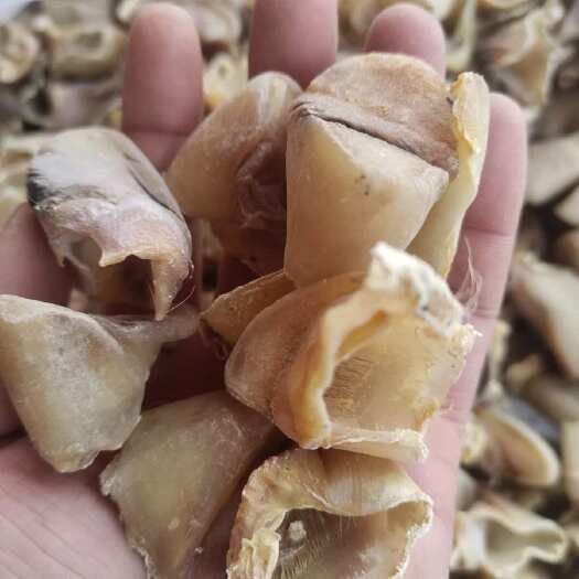 亳州猪蹄甲壳猪蹄甲子干货猪蹄甲沙炒猪蹄甲