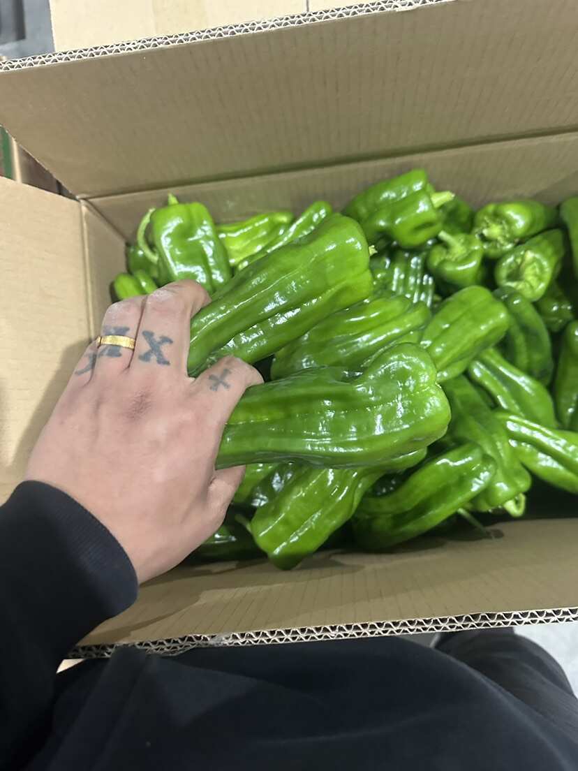 福建 漳州 蘇椒一手貨源產(chǎn)地直發(fā)