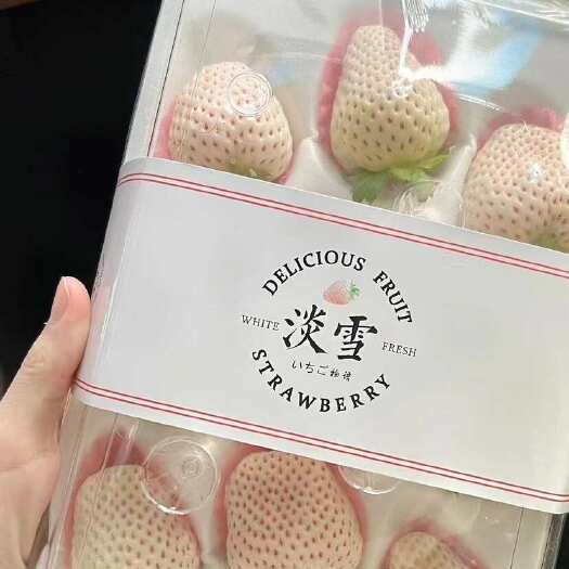 淡雪 天使 梦之莹 白草莓
