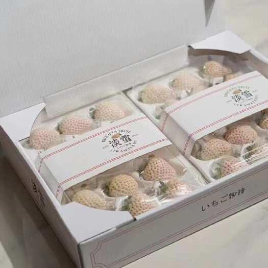 淡雪 天使 梦之莹 白草莓