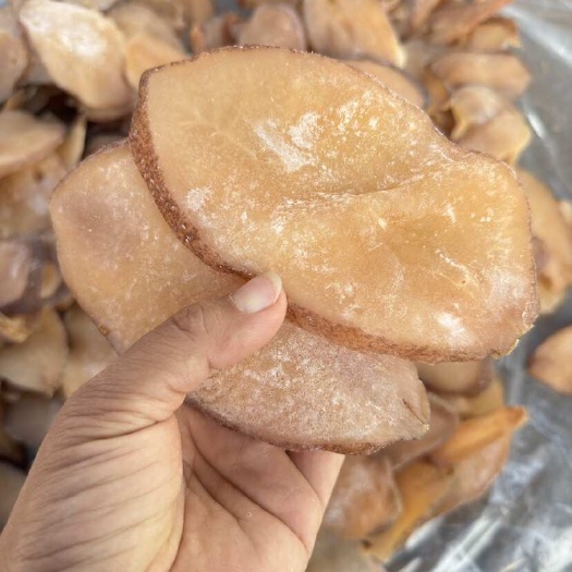 大号响螺肉片 原汁原味 海螺片 大号
