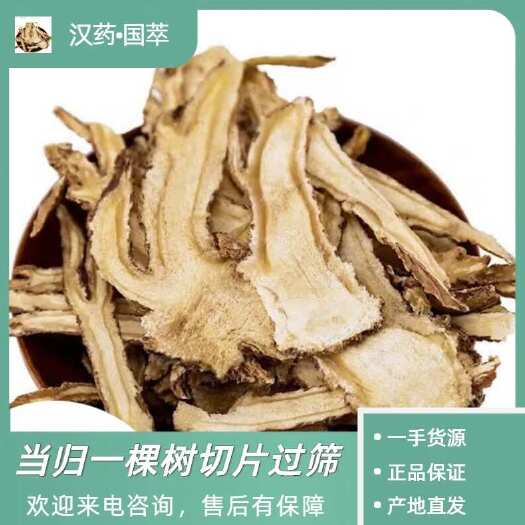 岷县岷县无硫当归一棵树切片