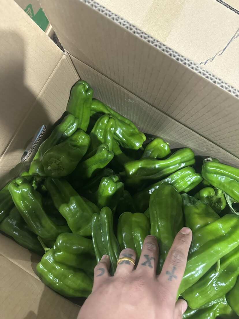 福建 漳州 蘇椒一手貨源產(chǎn)地直發(fā)