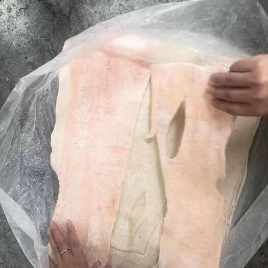 东莞市肥膘精膘手慢无