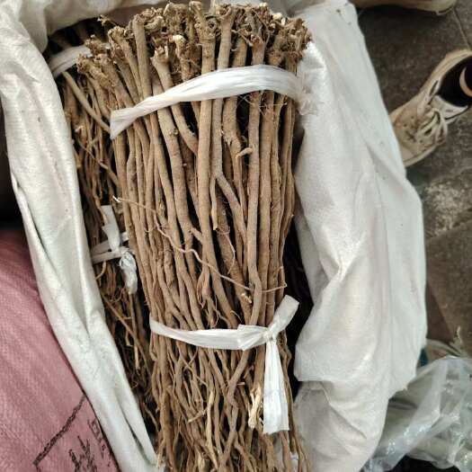玉林千斤拔 矮的 千斤拔
