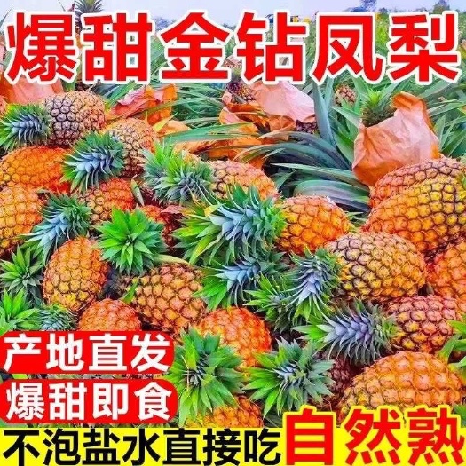 海口海南金钻凤梨供应链一件代发