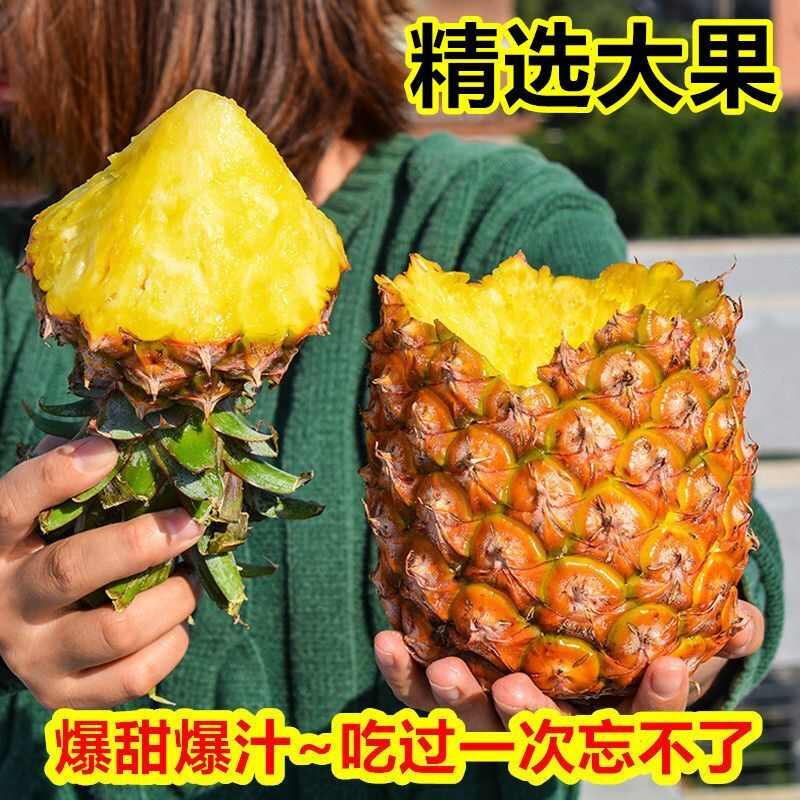 海南金钻凤梨芒果凤梨西瓜凤梨全国批发！