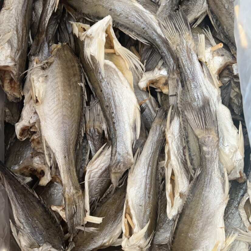 海鲈鱼干 地摊 电商 批发 无头海鲈鱼干 鱼干 干鱼 鲈鱼干