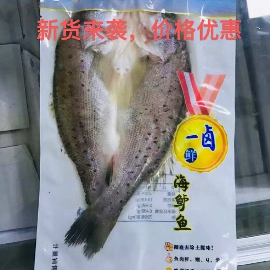 济南开背海鲈鱼