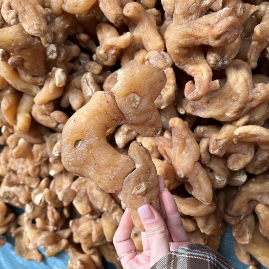 昆明2023年云南滇黄精个子黄精片新鲜黄精专业加工批发可一件代发