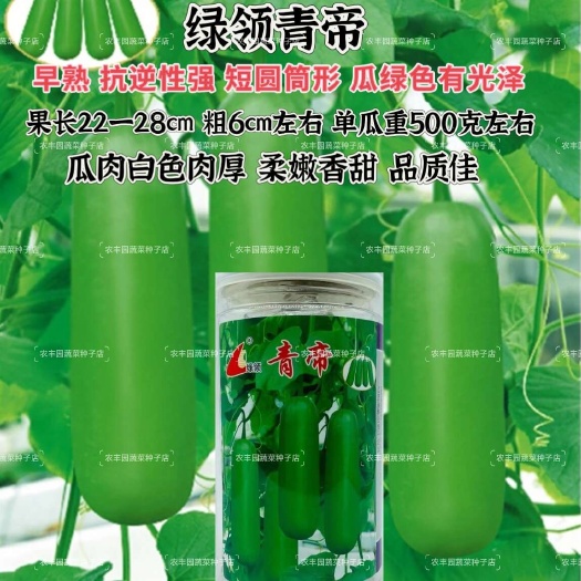 沭阳县绿领青帝瓠瓜种子早熟短棒肉厚瓠瓜种子柔嫩香甜抗逆性强瓠瓜种子