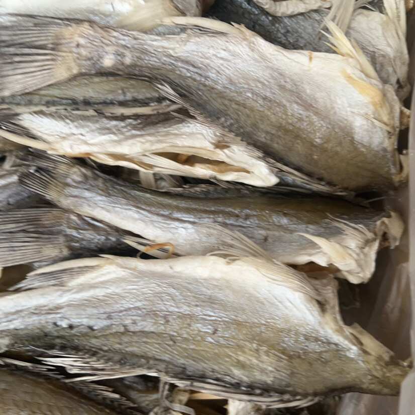 海鲈鱼干 地摊 电商 批发 无头海鲈鱼干 鱼干 干鱼 鲈鱼干