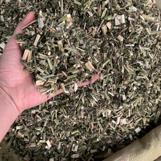 玉林益母草新货上市