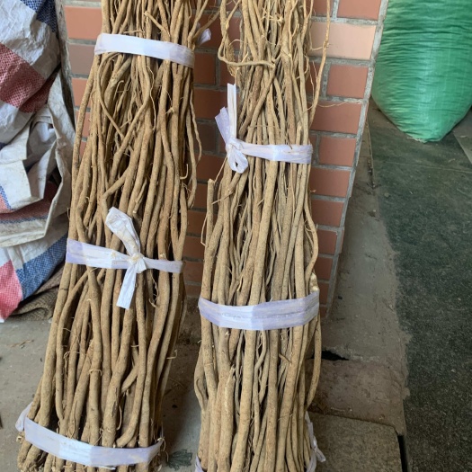 纯无硫千斤拔 老鼠尾 量大从优