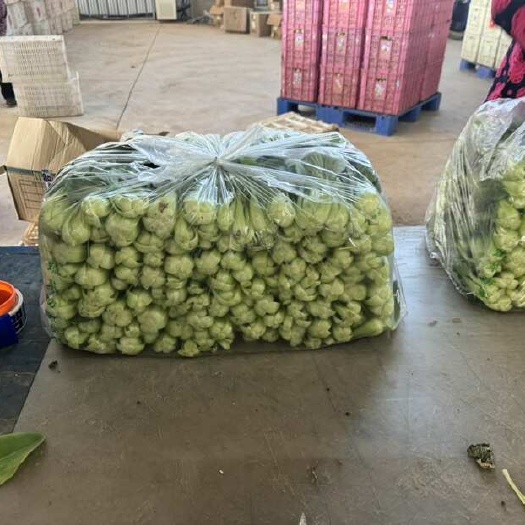 三台县【实力】产地直发精品上海青，一手货源！各种规格都有，货源充！