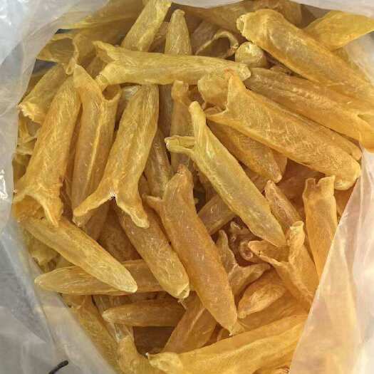 广州非洲黄花筒特A100头