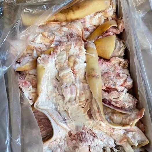 火烧毛全去骨牛蹄,清理干净,质量保证,厂家直销。