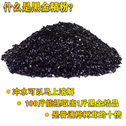 清原县俄罗斯桦树茸黑金粉