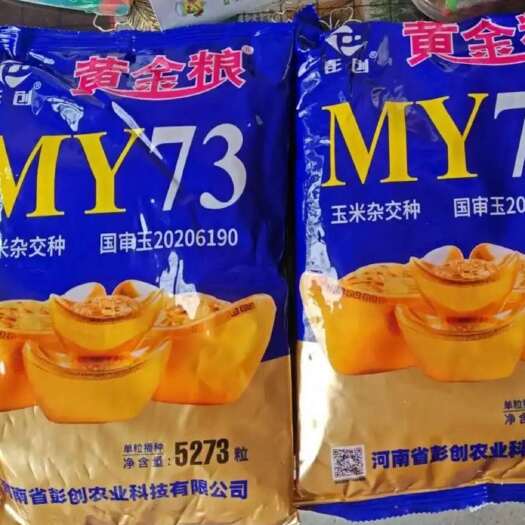 平度市黄金粮金元宝，量大优惠