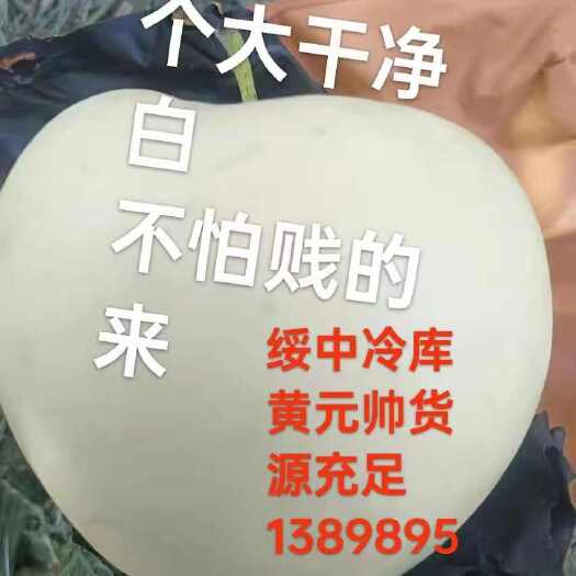长沙绥中优质水果产区冷库地面果