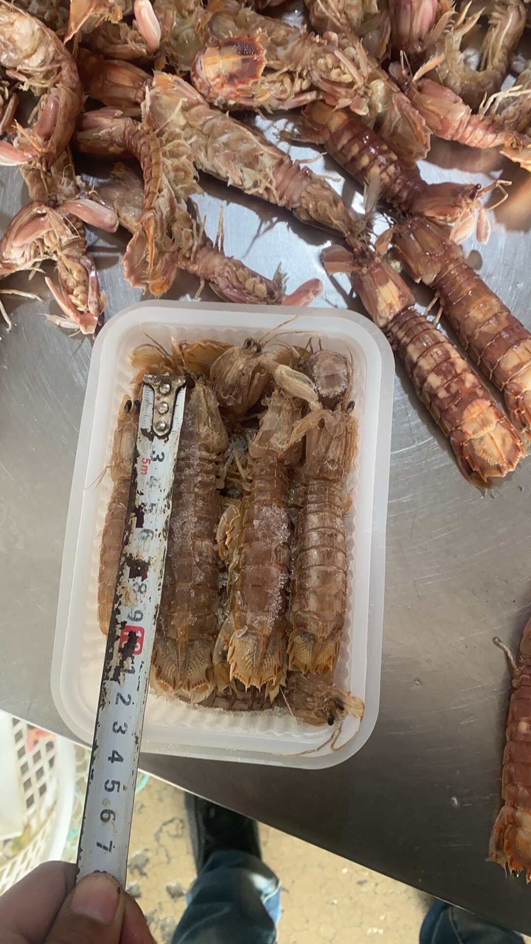 江苏赣榆鲜活皮皮虾当日发货新鲜直达