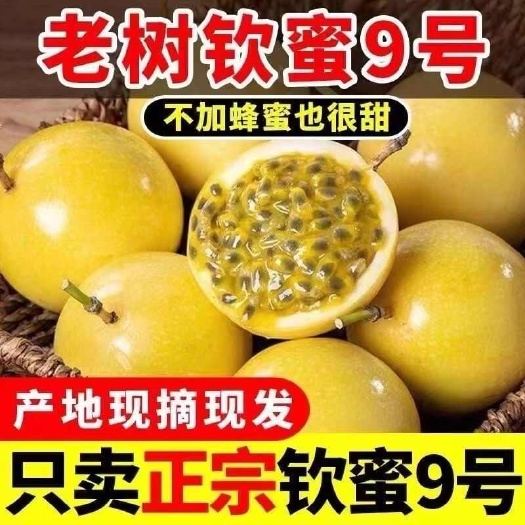 海口海南新鲜采摘黄金百香果钦蜜九号 海南直发