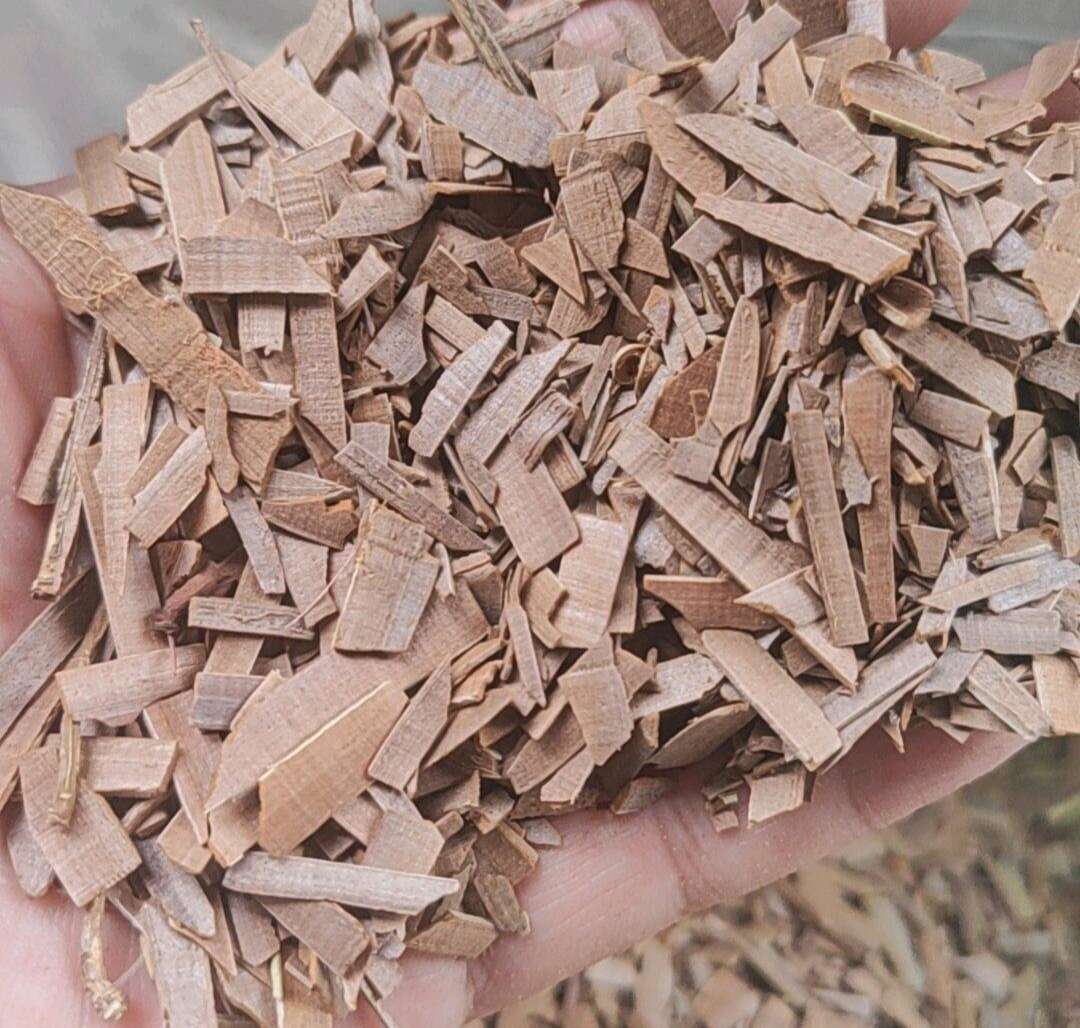 鬼箭羽    过筛选货   2斤包邮 量大从优