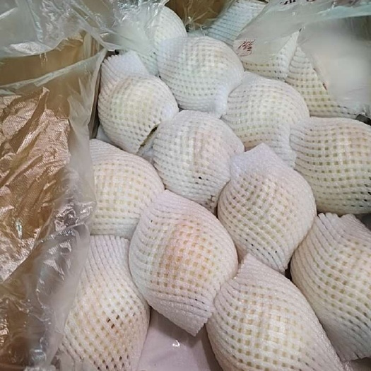 晋州市皇冠梨