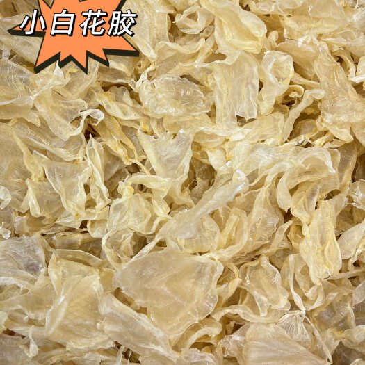 广州小白花胶小白花开片花胶鱼膘长期大量供应
