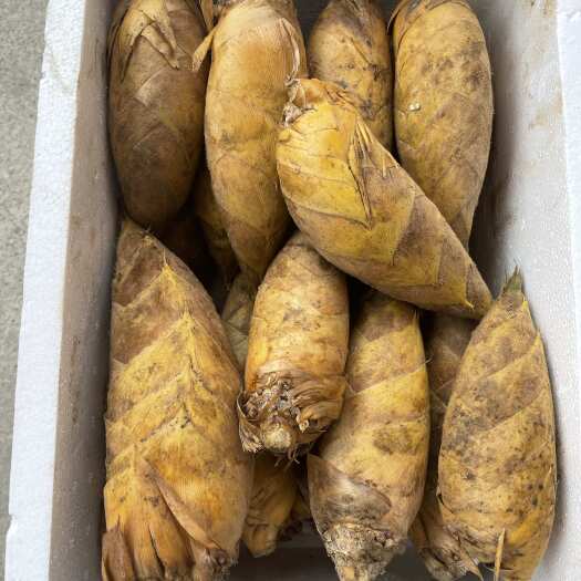 阳山县6-9两精品