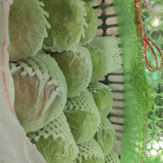 重庆市重庆市江津区新鲜新疆库尔勒大果香梨