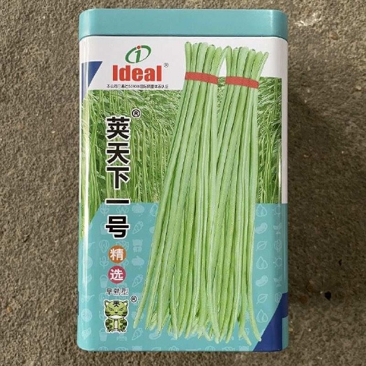 华容县荚天下一号豆角种子长豇豆早熟小叶荚条整齐顺直高产抗病春秋载培