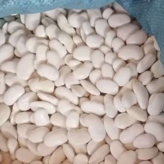 云龙县农家白芸豆- 膳食纤维小金库·白芸豆