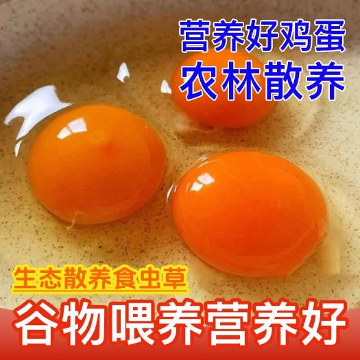 大名县【50枚整箱装】无抗谷物鲜鸡蛋农家散养土鸡蛋柴新鲜笨鸡蛋