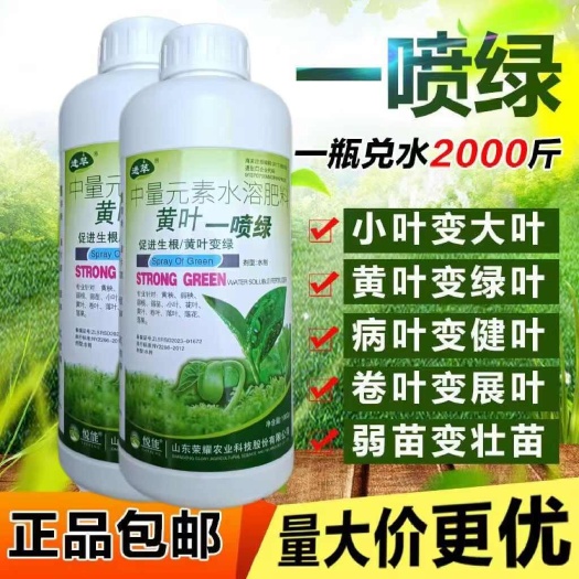 吳川市黃葉死苗一噴綠，小葉變大葉卷葉變展葉，病葉變健葉，黃葉變黃葉