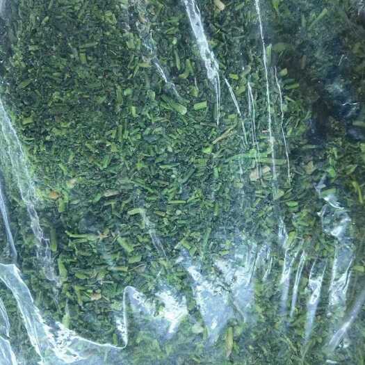 沧县速冻荠菜碎，速冻荠菜整棵