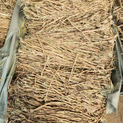 喀喇沁旗防风