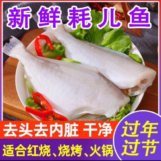 连云港三去马面鱼橡皮鱼老鼠鱼鲜鱼加工