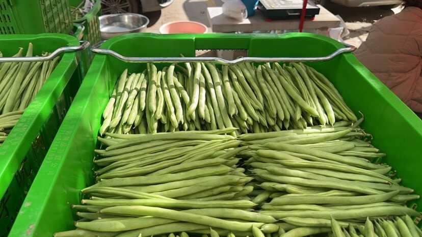 四季豆小金豆基地直发量大从优，欢迎浅谈