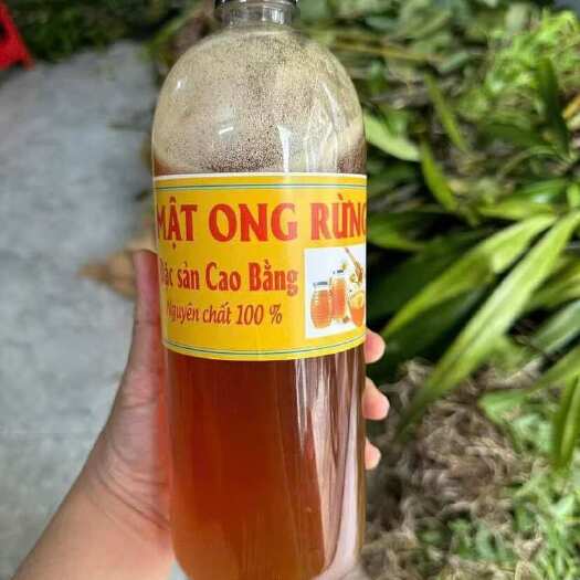 广州越南蜂蜜