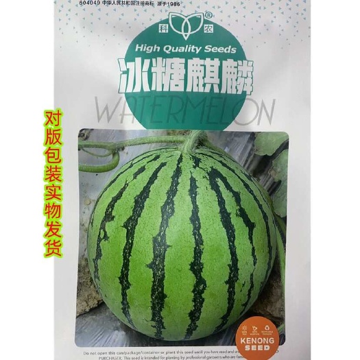 长沙西瓜种子麒麟西瓜种子冰糖麒麟西瓜种子圆果花皮冰糖麒麟西瓜种籽