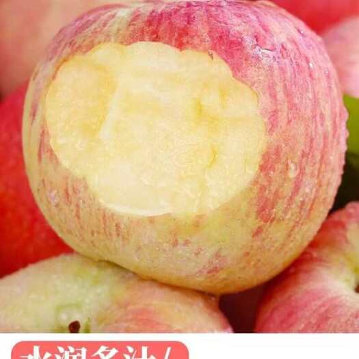 饶阳县长枝糖心红富士脆甜2024新果