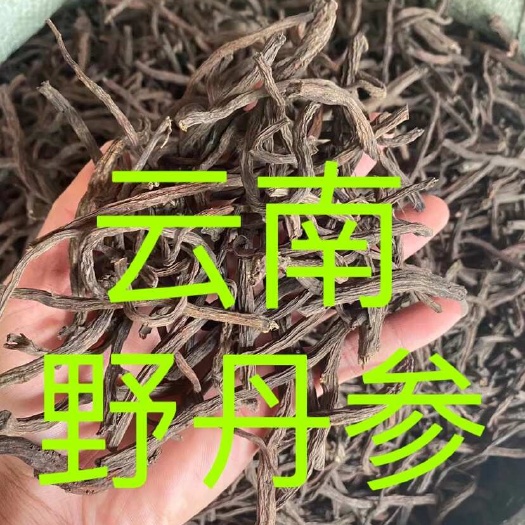 文山市丹参 云南紫丹参