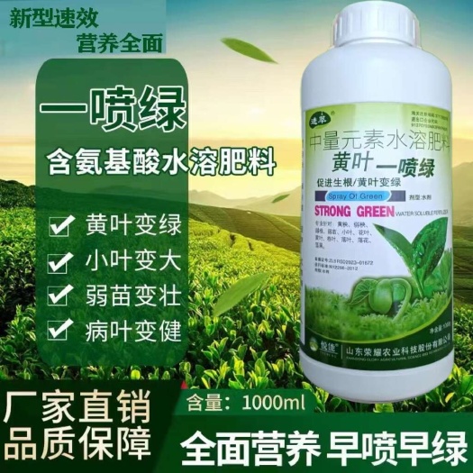 陆丰市黄叶一喷绿，大叶变小叶黄叶变绿叶，病叶变健叶，增强叶绿素包邮