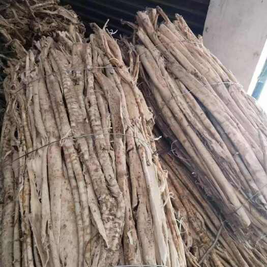酉阳桑白皮大货出售