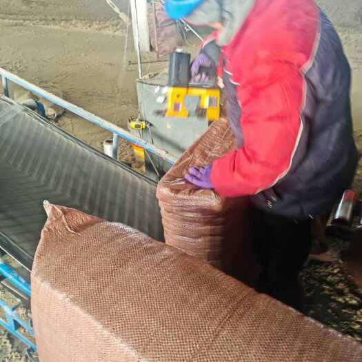 铁门关市棉籽壳棉壳新疆物流专线整车批发价