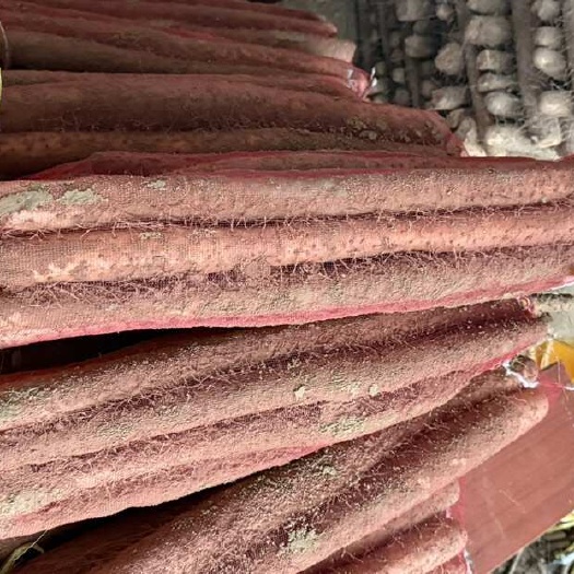 重庆市精品山药。面面的。精挑细选出最适合您的产品