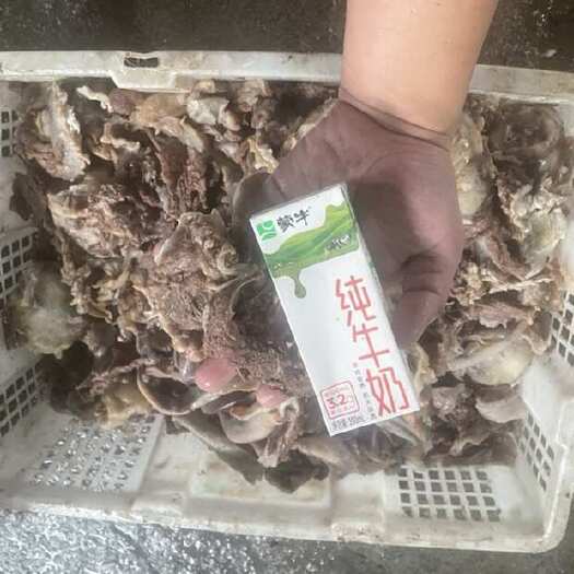 龙岩拆骨肉，剔骨肉，牛熟杂。牛头拆骨肉。精品
